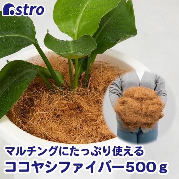 アストロ公式 製品保証付き ココヤシファイバー 500g マルチング 土隠し 底石代わり ココヤシ繊...