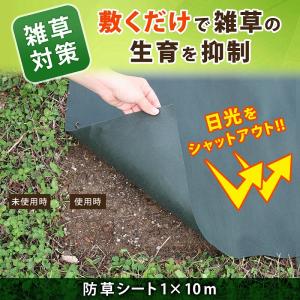 アストロ 防草シート 1×10m グリーン U...の詳細画像1