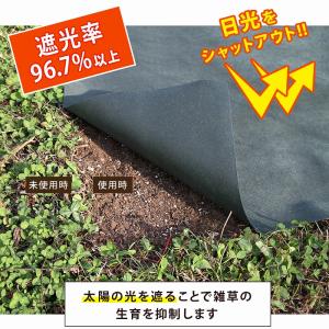 アストロ 防草シート 1×10m グリーン U...の詳細画像2