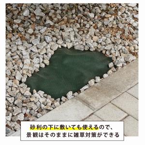 アストロ 防草シート 1×10m グリーン U...の詳細画像5