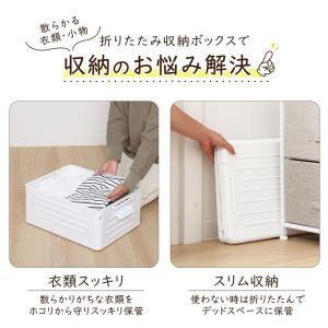 アストロ 収納ボックス Mサイズ 折りたたみ ...の詳細画像3