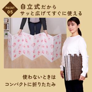 アストロ公式 製品保証付き 冷気ガードボード ...の詳細画像5