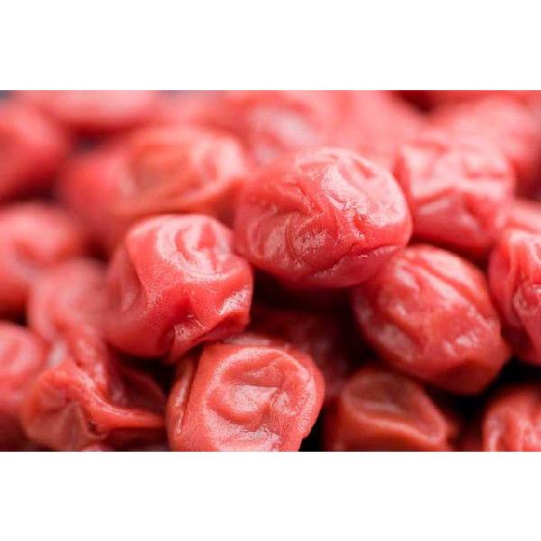 しそ漬小梅15% 1kg