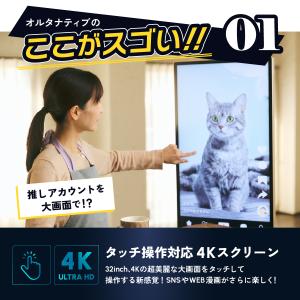 Adget Alternative 32inc...の詳細画像3