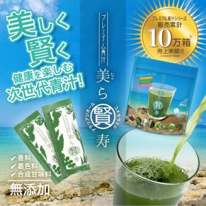 世田谷自然食品 乳酸菌が入った青汁プレミアム 30包 500億個の乳酸菌と 