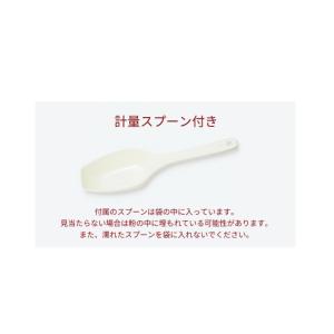 美巡温食 大人のたんぱくサポート 300g 約...の詳細画像2
