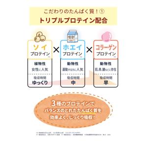 美巡温食 大人のたんぱくサポート 300g 約...の詳細画像4