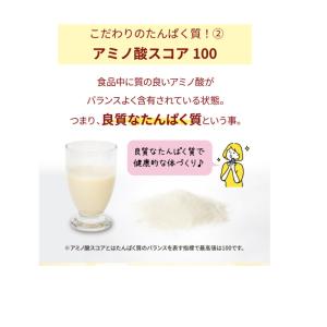 美巡温食 大人のたんぱくサポート 300g 約...の詳細画像5