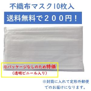 3層不織布マスク 10枚 業務用 送料無料 ポイント消化