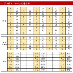ナンバープレート キーホルダー ストラップ 白...の詳細画像5