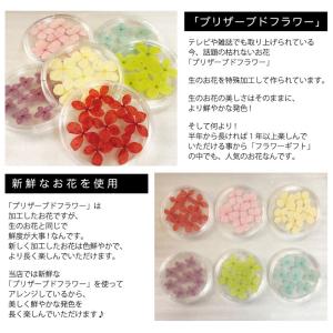 プリザーブドフラワー コースター プリザーブド...の詳細画像1