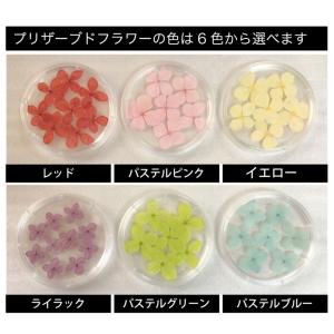 プリザーブドフラワー コースター プリザーブド...の詳細画像4