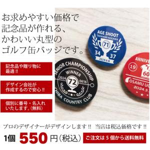 バーディゲッター ホールインワン ベストスコア...の詳細画像1