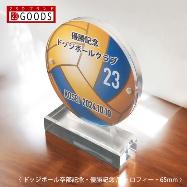 ドッジボール トロフィー 優勝記念 卒団記念 卒部記念 記念品 表彰 スポーツ大会 カラー盾 オリジ...