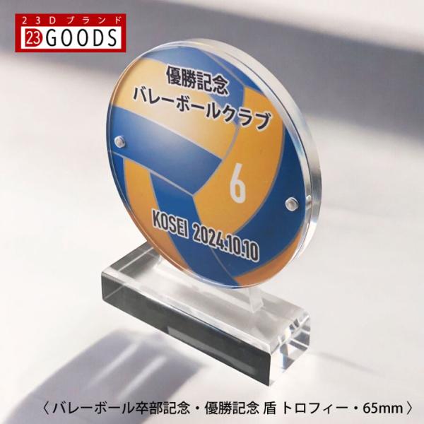 バレーボール トロフィー 優勝記念 卒団記念 卒部記念 記念品 表彰 スポーツ大会 カラー盾 オリジ...