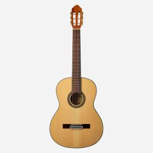 フェルナンデス APG STD' 16 VMB エレキギター : 西尾楽器Yahoo!店