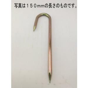 ロープ止め釘 クロメートメッキ 6mm x 15...の商品画像