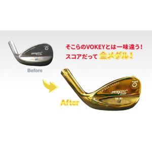 メッキ工房 厚付け金めっき専用セット(最厚付液...の詳細画像4