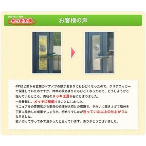 メッキ工房 めっき工房 徳用セット 安心サポー...の詳細画像3