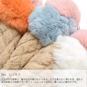 レッキス ラビット アイスクリーム型 ダブル ...の詳細画像5