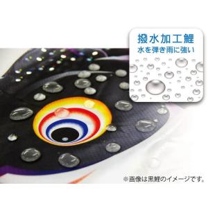 【100周年記念祭】こいのぼり 徳永鯉 鯉のぼ...の詳細画像2