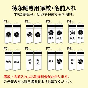 【100周年記念祭】こいのぼり 徳永鯉 鯉のぼ...の詳細画像5