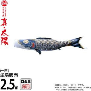 東旭 【100周年記念祭】こいのぼり 鯉のぼり 庭園用 6m8点セット 山本
