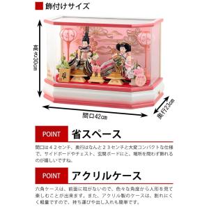 【100周年記念祭】雛人形 コンパクト ケース...の詳細画像2
