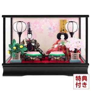 【全品P10%】100周年SALE 雛人形 コンパクト ひな人形 雛 ケース飾り 親王飾り 藤翁作 紗季 小三五親王 金襴仕立 h063-fn-233-238a｜2508-honpo