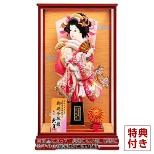 フジキ 【100周年記念祭】羽子板 初正月 ケース飾り 隆山作 姫振袖