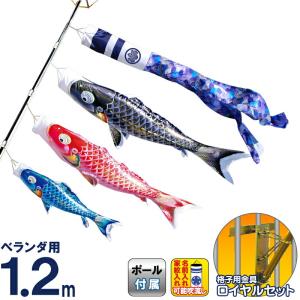 鯉のぼり 岡本太郎鯉のぼり 岡本太郎ミュージアム限定品 大型鯉庭園用