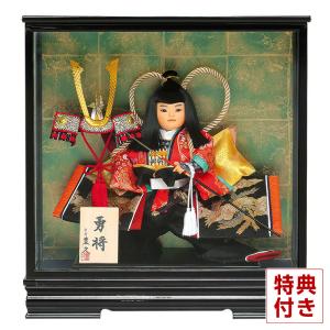 100周年記念祭】五月人形 武者人形 ケース飾り 栄光作 若殿 7号 h315