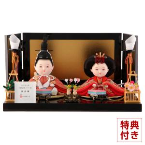 フジキ 【100周年記念祭】雛人形 コンパクト おしゃれ 親王飾り 隆山作