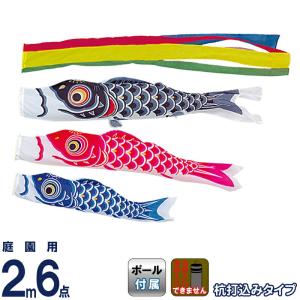 こいのぼり 旭天竜 鯉のぼり 5m〜10mセット用 名前1種 縦書き(両面) 旭