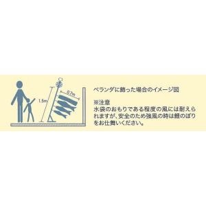 【100周年記念祭】こいのぼり 旭天竜 鯉のぼ...の詳細画像3