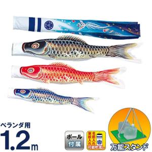 こいのぼり 旭天竜 鯉のぼり 庭園用 3m8点 ガーデンセット 彩風 撥水