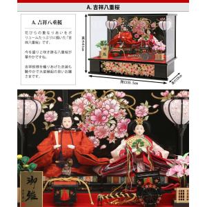 【100周年記念祭】雛人形 コンパクト ケース...の詳細画像3