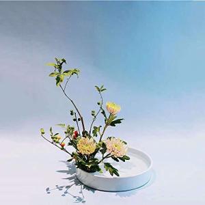 Fukuka 花器 水盤 25CM フラワーベース 花瓶生け花 生け花用花器 陶器花入れ いけばな道具 華道用花器の商品画像