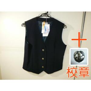 青森県立弘前実業高等学校 女子制服ベスト165A+校章セット 中古 長期保管品 業者クリーニング済み