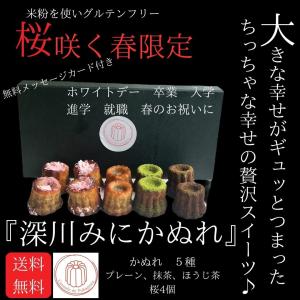 ホワイトデー他記念日に 無料のメッセージカード付き『深川みにかぬれ 』10個