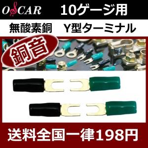 オーディオテクニカ（audio-technica） TPK-400R 4ゲージバッ直電源