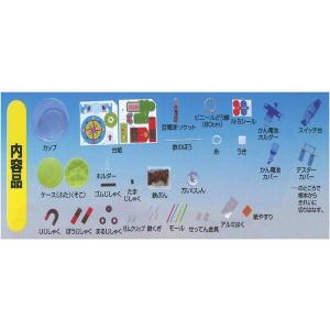 小学3年生 理科 実験 教材 豆電球とじしゃく...の詳細画像3