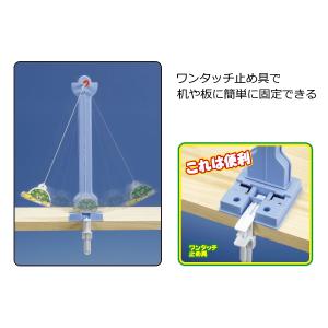 小学5年生 理科教材 ふりこのはたらき 振り子...の詳細画像3
