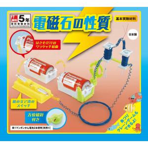 小学5年生 理科 実験 教材 電磁石の性質 大...の詳細画像1