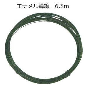 エナメル導線 φ0.4mm×6.8m ネコポス 20個まで 理科 実験 日本製