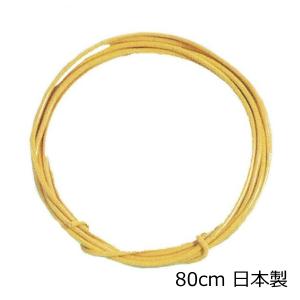 ビニール導線 80cm ネコポス 20個まで 理科 実験 日本製