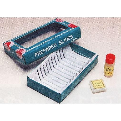 自分で作ろう プレパラートづくり スライドグラス カバーレンズ 顕微鏡  教材 理科 実験