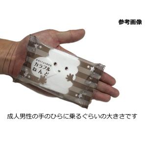 軽量カラー紙粘土 カラフルねんど 約16g 全...の詳細画像3