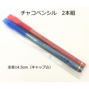チャコペンシル 2本組 色付け 家庭科道具 家...の詳細画像1
