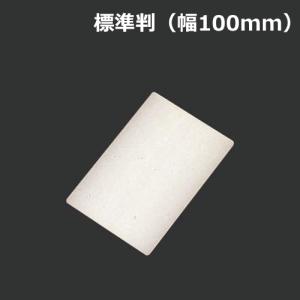 スクィジー 樹脂製 標準判 幅100mm ネコポス 8個まで スキージー